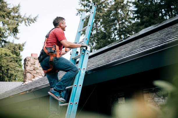 Best Asphalt Shingles Roofing  in Waverly, OH